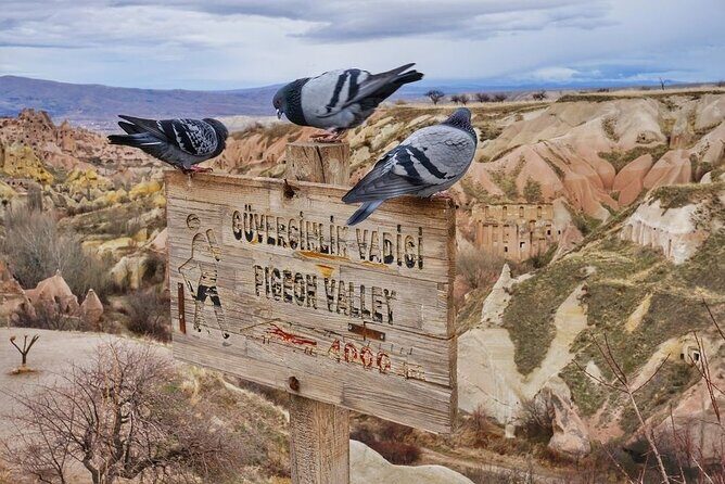 Best Cappadocia Green Tour - Derinkuyu Underground City: 8 levels of everyday survival