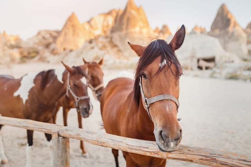 Cappadocia: Göreme Horse Riding, Fairy Chimneys w/Transfer - What to Bring and How to Prepare (Simple but Important)