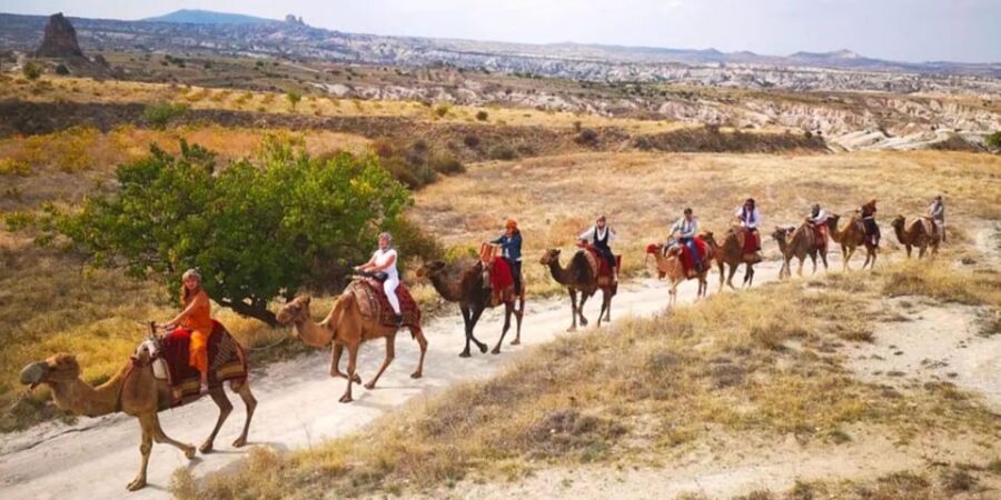 From Cappadocia: Sunrise or Sunset Camel Riding Day Trip - Best Time to Book: Sunrise for Balloons, Sunset for Ease